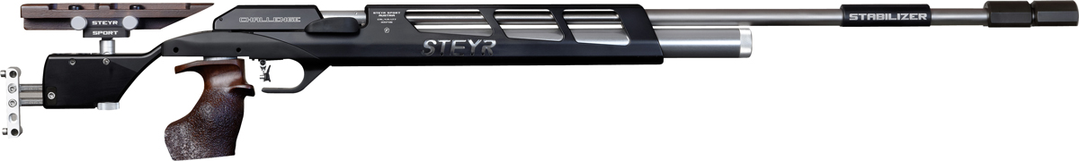 Run targets. Steyr Стабилизер. Steyr Challenge Light винтовка. Винтовка Steyr LGB-1. Steyr Challenge field target.